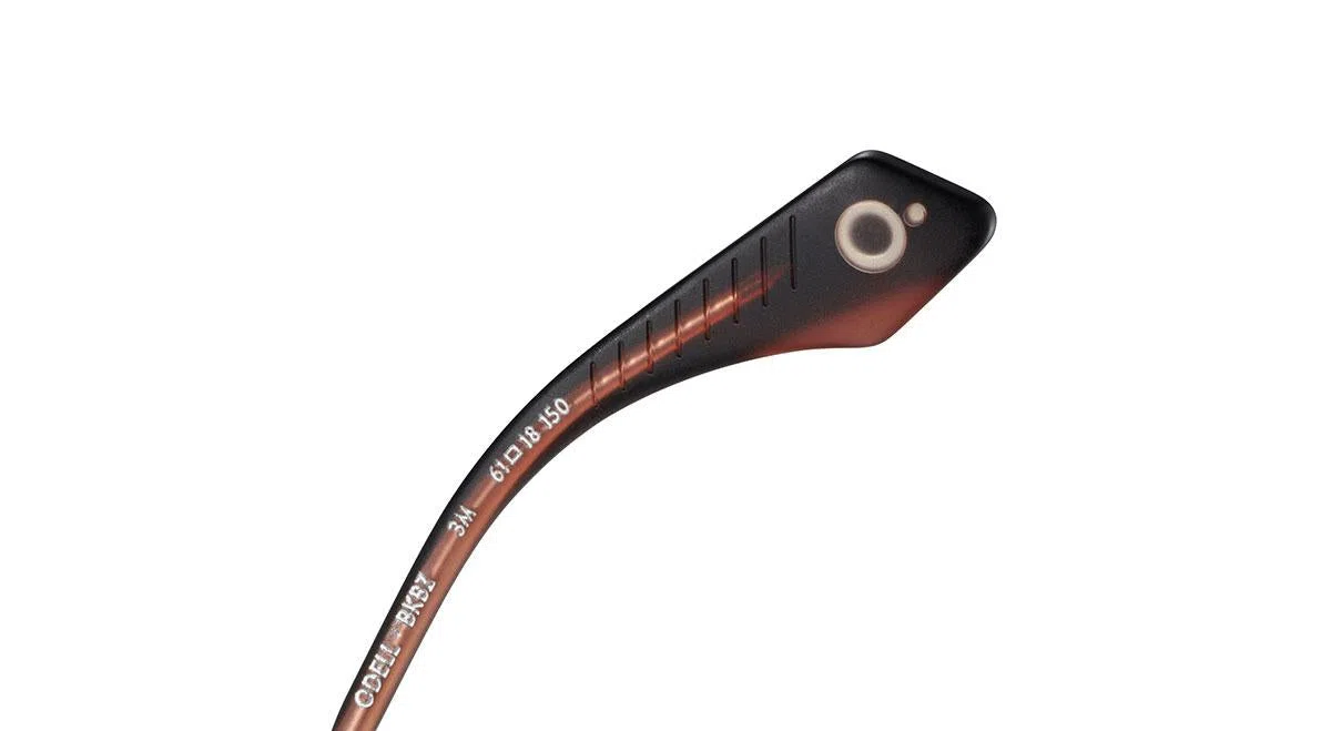 Etnia Barcelona ODELL Sunglasses - view 13